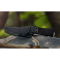 Ніж фіксований мисливський  Ruike F186-MB, (11.8 см) D2 / Micarta чорний