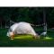Стілець складаний Naturehike Stellaluna L04 CNK2450JJ015, розмір M, алюміній, чорний