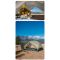 Намет надлегкий двомісний Naturehike Mongar CNK2550WS016, 15D, сiрий