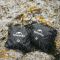 Чохол для рюкзака Naturehike CNK2450PJ010, M, чорний