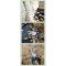Мультитул NexTool Mini Sailor Pliers S11, чорний (NE20156C, NE20156E)