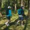 Рюкзак туристичний Naturehike NH17A012-B, 25 л, чорний