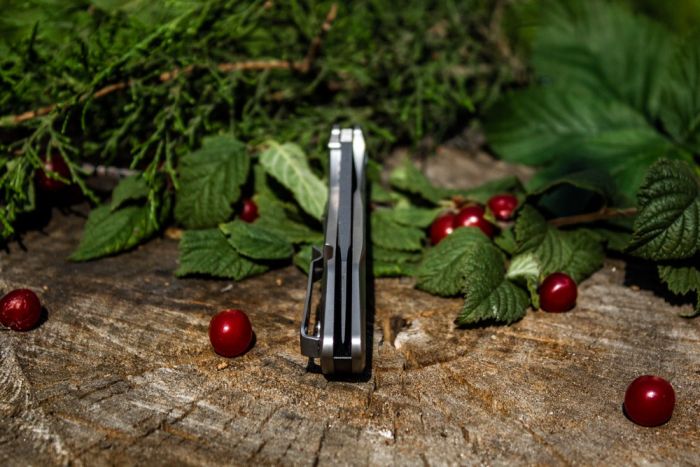 Ніж складаний туристичний Ruike P135-SF, (9.2 см) 14C28N / steel 420 сірий