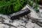 Багатофункціональний ніж Ruike Trekker LD41-B, (8.5 см) 12C27 / G10 чорний, 22 інстр.