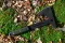Сокира ФЛОКІ Blade Brothers Knives (BBK)