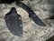 Міський EDC ніж ЖНЕЦЬ Blade Brothers Knives (BBK)