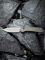 Ніж складаний туристичний Civivi Elementum Pocket, (8.9 см) 14C28N / Micarta сірий