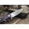 Ніж складаний туристичний Ganzo G769 (9 см) D2 / G10 фіолетовий