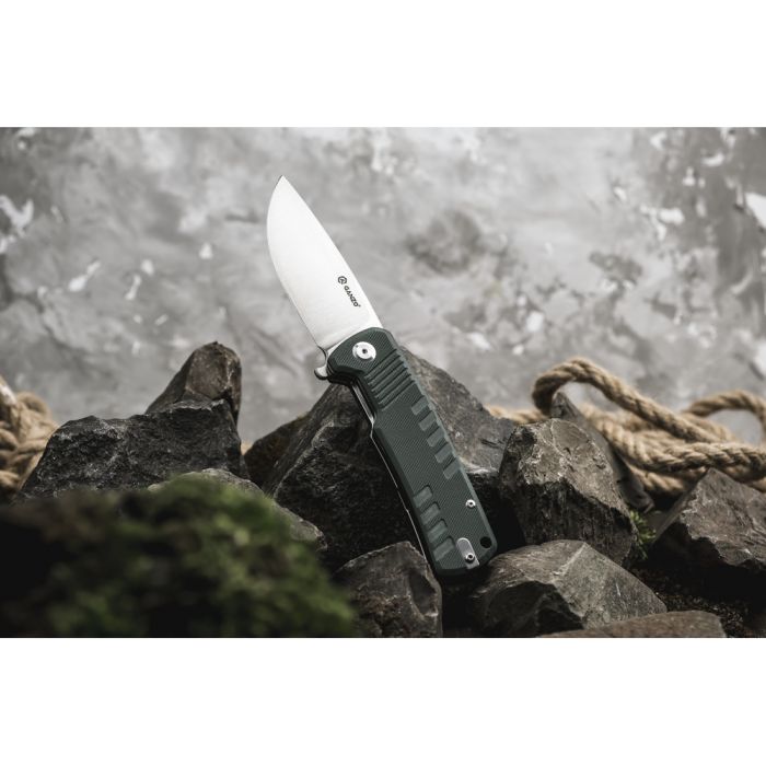 Ніж складаний туристичний Ganzo G769 (9 см) D2 / G10 зелений