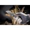 Ніж складаний Weknife High-Fin XL WE24010-3