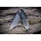 Ніж складаний Weknife Sine Wave WE23069B-3