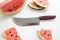 Кухонний ніж СІКАЧ Brother Blade Knives (BBK)