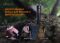 Фонарь ручной Fenix ​​PD25R